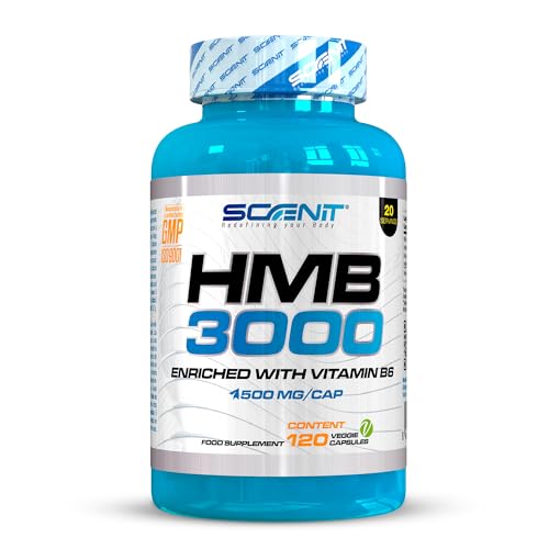 HMB 3000-3000mg de HMB Supplément Capsules avec Vitamine B6 - HMB Capsules - HMB Pure - Supplément HMB - 120 Capsules Vegan