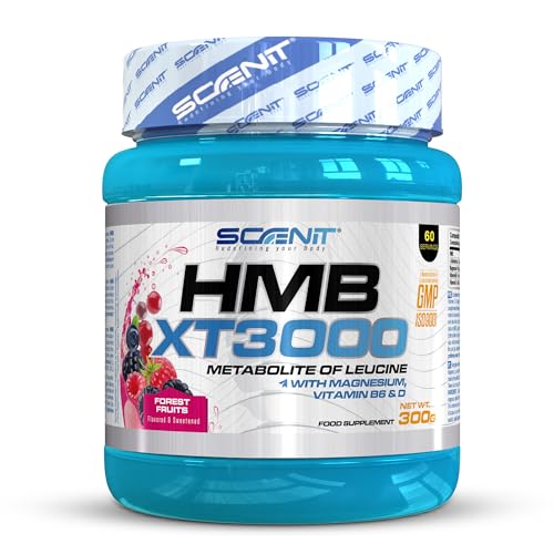 HMB XT 3000-3000 mg de HMB Musculation poudre avec saveur - HMB Poudre avec Glutamine, Magnésium, Vitamine B6 et Vitamine D - Saveur fruits des bois