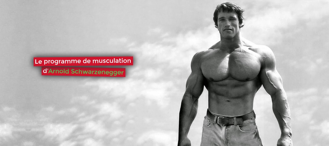 🥇 Programme Arnold Schwarzenegger : Son entrainement complet